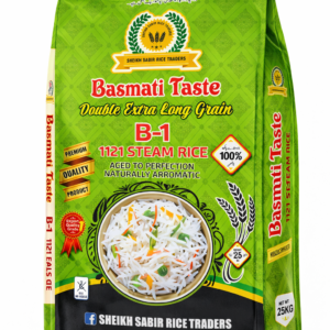 B-1 1121 Steam Ponia